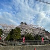 出勤前の神社