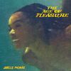 Janelle Monáe / The Age Of Pleasure