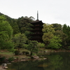 日本全国の旅　中国山陽編３日目　周防大島と瑠璃光寺（山口県）（4/4）