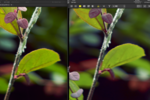 Nikon Z8 ファームウェア Ver3.01　まとめ