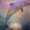 ２０　イルカのスピリット　DOLPHIN SPIRIT