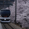 桜三昧：勝沼ぶどう郷駅