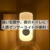 【イギリス 人感センサーライト】暗い玄関や、夜のトイレに！人感センサーライトが便利！