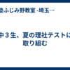 中３生、夏の理社テストに取り組む
