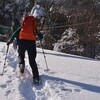 塔ノ丸の雪舟遊山　風の造形