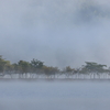 霧の山中湖