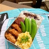 もやし入りハンバーグと梅わさポテトサラダ弁当