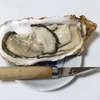 唐桑牡蠣