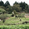 万民のために命を捨てた 義士「土平治」の生家あと（相模原市）