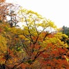 瓶ヶ森林道より　Ⅱ