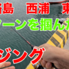 パターンがわかった?  淡路島アジング