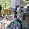 アルミ缶選別とプレス、きくらげのパック詰め、ブルーベリージャムの製造など
