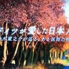 「ドイツが愛した日本人〜佐々木蔵之介が巡る、ある医師の物語〜」