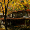 大阪の超有名紅葉スポット「国定公園箕面公園」へ紅葉狩り。