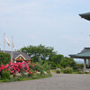 柳ヶ崎湖畔公園の花々その１