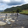 恒例の鮎、残念