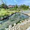 泉が森公園のイトヨ池（茨城県日立）