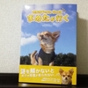 犬の写真で謎解き『まめたが行く』の感想