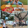 【小4と小1】ピクニックと園の運動会