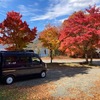 河口湖紅葉 🍁 🍂 湖畔をウォーキング🏃🏃・・🚌 🚐 🚐