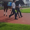 川崎競馬観戦