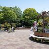 薔薇の季節、福岡市植物園へ