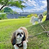 木陰が快適