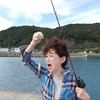 もうやってるよ