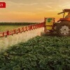 農薬は致死濃度でなくても昆虫を減らす