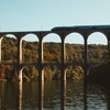 彼女とTGV(2016)