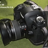 Canon EF22-55mm/F4-5.6 の２