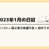 23年1月の日記　ポケモンSV×祖父母の体調不良×初めてのJINS