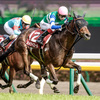 競馬初心者必見☆馬券予想🔥〜京王杯スプリングC〜G1馬が揃った見逃せないレース！