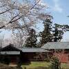 佐渡　明日からこちらで