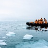 南極旅行16　南極らしい光景！ ウィルヘルミナ湾で氷山の合間をクルーズ