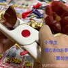 栗の皮むき「栗坊主Ⅱ」を使って大成功【小学生のお手伝い】