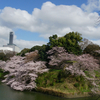 東京、桜百景