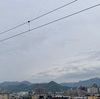 5月8日(月) 2023 令和5年🐰 皐月(さつき)🌖3月19日