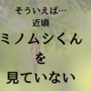 【え！いつの間に絶滅危惧種？】そういえば最近見かけないミノムシ