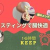 働き詰めの【腸】にも ご褒美の【休日】を！もしかしたらあなたの【腸】悲鳴上げてるかも