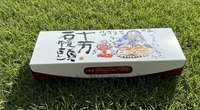 【実際に調べた】十万石饅頭はどこで買える？東京駅？通販？販売店？