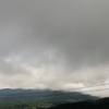 雨上がりの散歩　目新しい草花