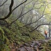 紅葉はじまる「石鎚山」　山霧