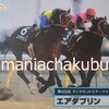 サラブレッドカード95 053 第45回ダイヤモンドステークス エアダブリン
