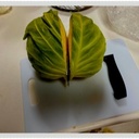 soutroll's blog