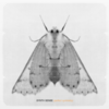  Synth Sense / Perfect Symmetry