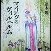 第六回 #文フリ大阪 の作品書評～ #並木陽『マインツのヴィルヘルム』を読む～