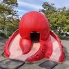 タコの滑り台と鶏肉と。