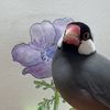 いつかぶんちょカフェにいこう