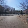 2020/02/01 太子堂散歩 04 三宿の森緑地/円泉寺/東京ワンタン本舗/林芙美子旧居/太子橋/茶沢通り/三軒茶屋駅